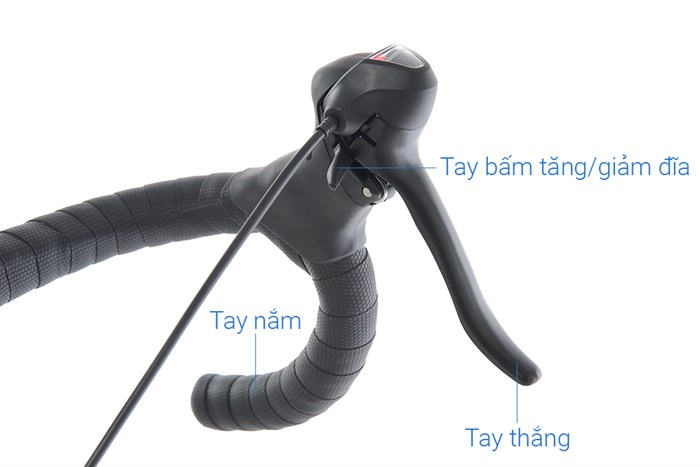 Xe Đạp Thể Thao Road Txed Classic 29 inch Size L Màu Trắng - Xanh