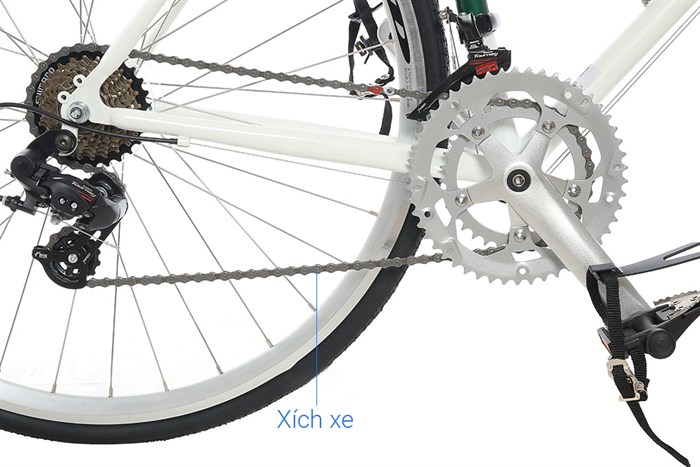 Xe Đạp Thể Thao Road Txed Classic 29 inch Size L Màu Trắng - Xanh