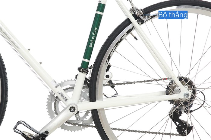 Xe Đạp Thể Thao Road Txed Classic 29 inch Size L Màu Trắng - Xanh