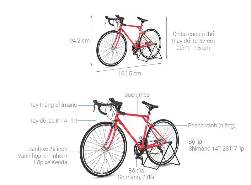 Xe Đạp Thể Thao Road Txed Classic S7 29 inch Size L