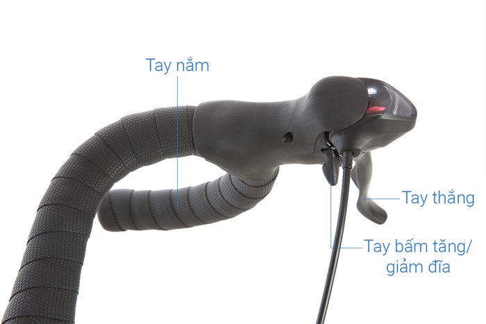 Xe Đạp Thể Thao Road Txed Classic S7 29 inch Size L Màu Đỏ