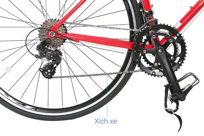 Xe Đạp Thể Thao Road Txed Classic S7 29 inch Size L Màu Đỏ