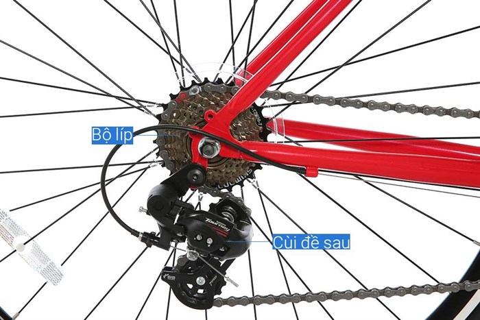 Xe Đạp Thể Thao Road Txed Classic S7 29 inch Size L Màu Đỏ