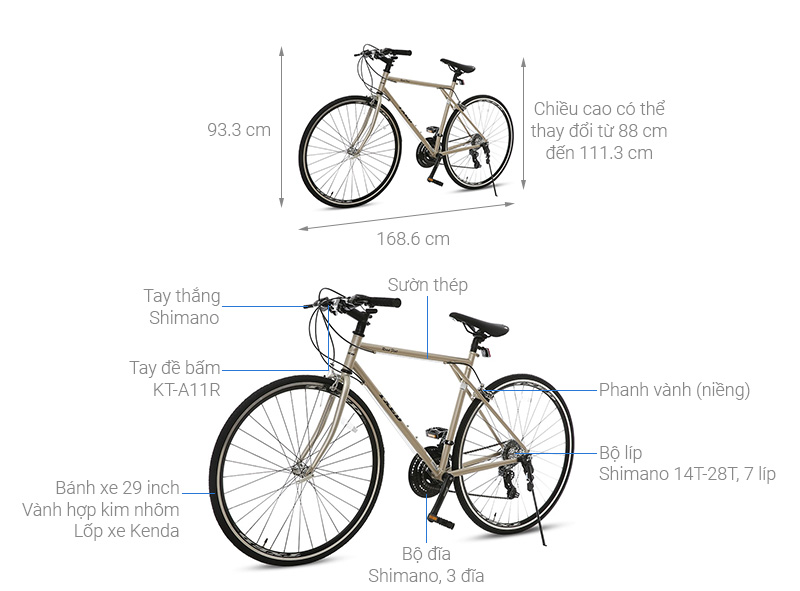 Xe Đạp Thể Thao Road Txed Flat 29 inch Size L