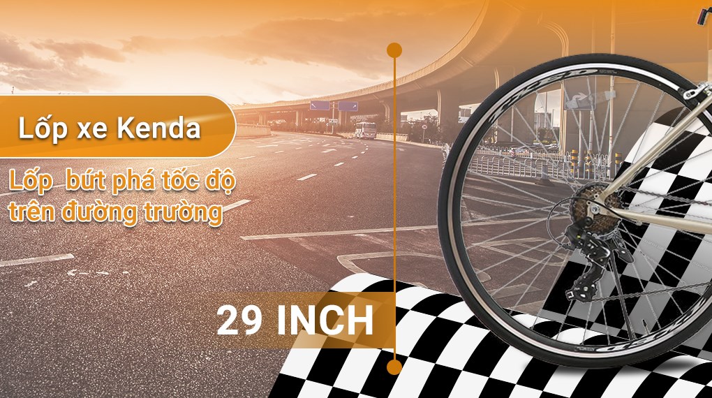Xe Đạp Thể Thao Road Txed Flat 29 inch Size L - 3