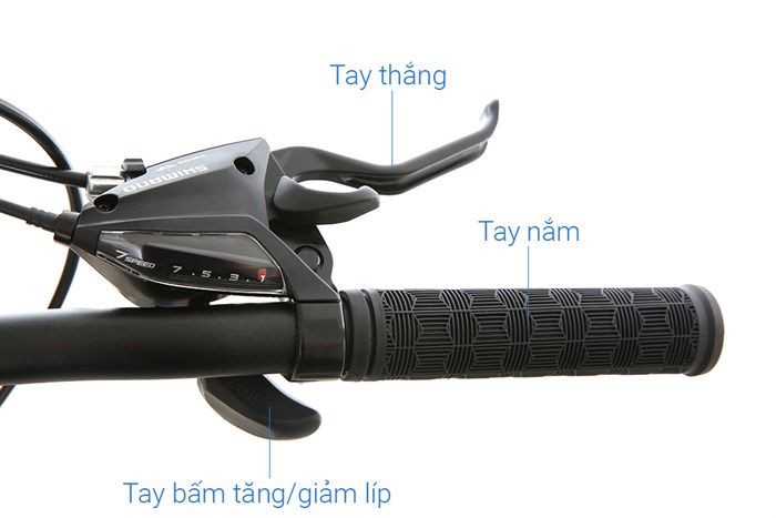 Xe Đạp Thể Thao Road Txed Flat 29 inch Size L