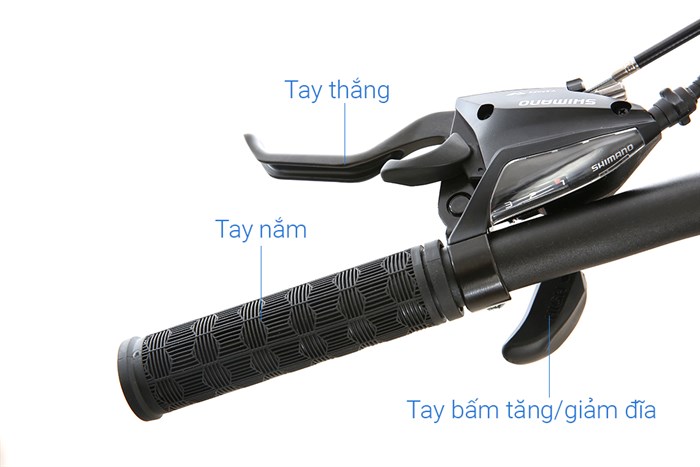 Xe Đạp Thể Thao Road Txed Flat 29 inch Size L