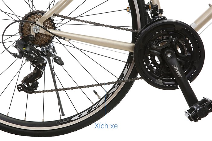 Xe Đạp Thể Thao Road Txed Flat 29 inch Size L