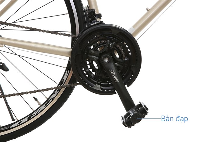 Xe Đạp Thể Thao Road Txed Flat 29 inch Size L