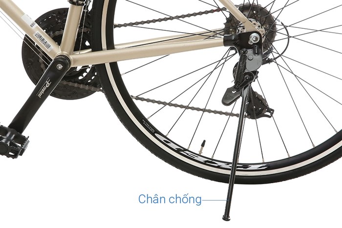 Xe Đạp Thể Thao Road Txed Flat 29 inch Size L