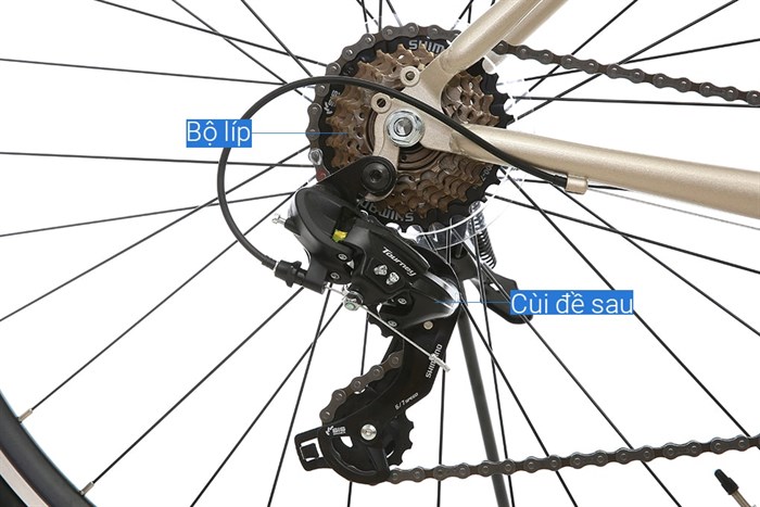 Xe Đạp Thể Thao Road Txed Flat 29 inch Size L