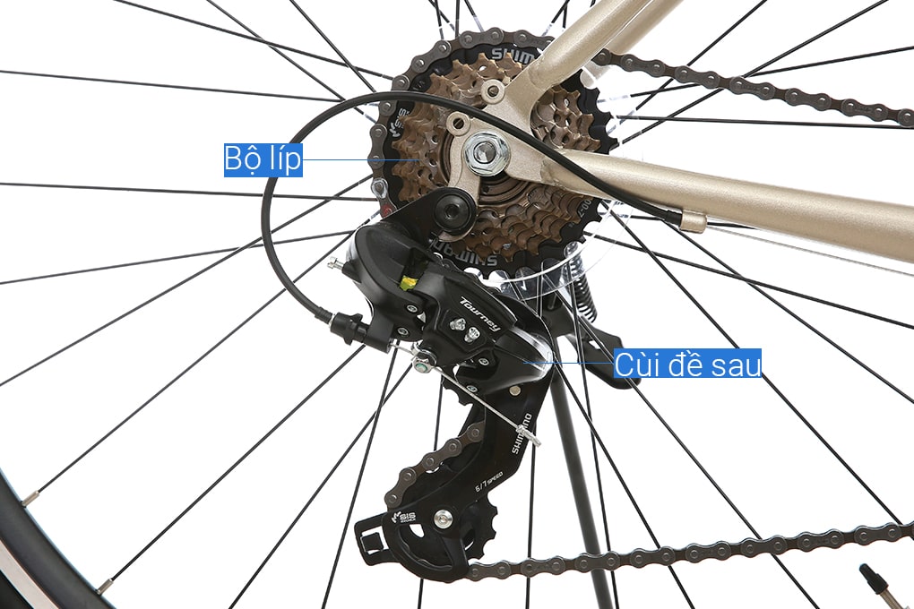Xe Đạp Thể Thao Road Txed Flat 29 inch Size L