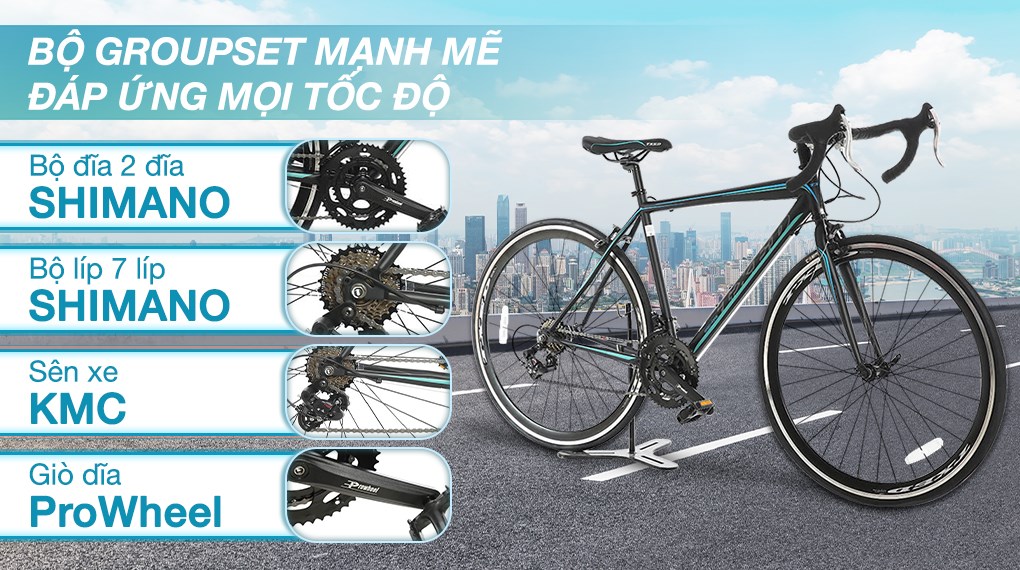 Xe Đạp Thể Thao Road Txed Speed Horse S5 29 inch Size L