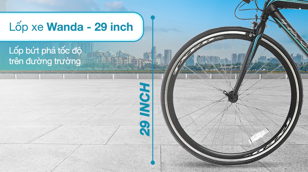 Xe Đạp Thể Thao Road Txed Speed Horse S5 29 inch Size L - 3