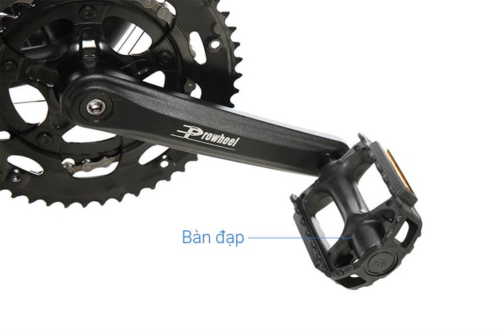 Xe Đạp Thể Thao Road Txed Speed Horse S5 29 inch Size L