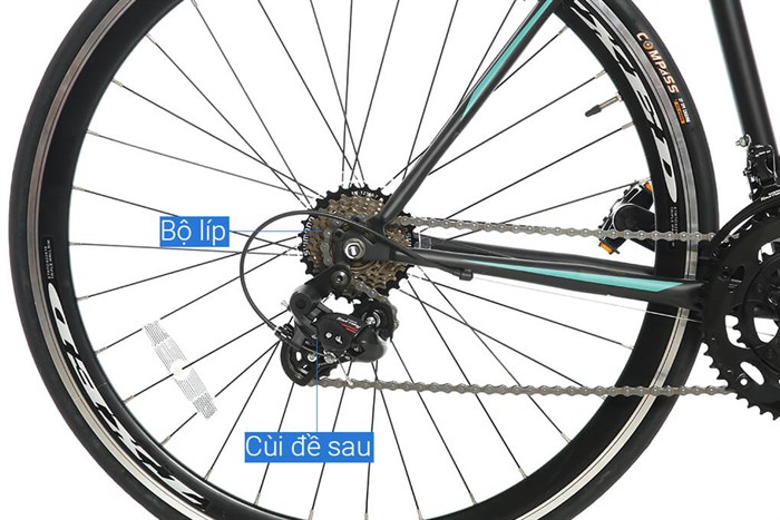 Xe Đạp Thể Thao Road Txed Speed Horse S5 29 inch Size L