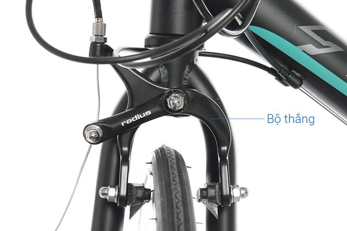 Xe Đạp Thể Thao Road Txed Speed Horse S5 29 inch Size L