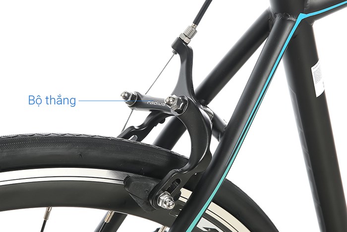 Xe Đạp Thể Thao Road Txed Speed Horse S5 29 inch Size L