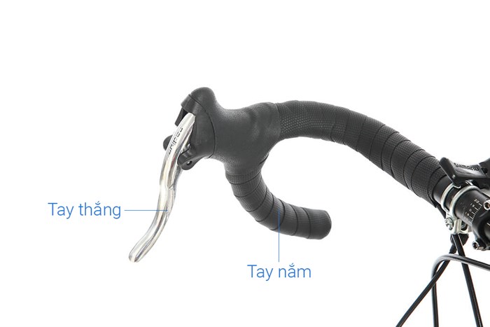 Xe Đạp Thể Thao Road Txed Speed Horse S5 29 inch Size L