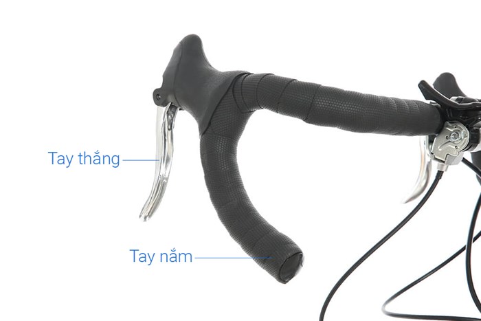 Xe Đạp Thể Thao Road Txed Speed Horse S5 29 inch Size L