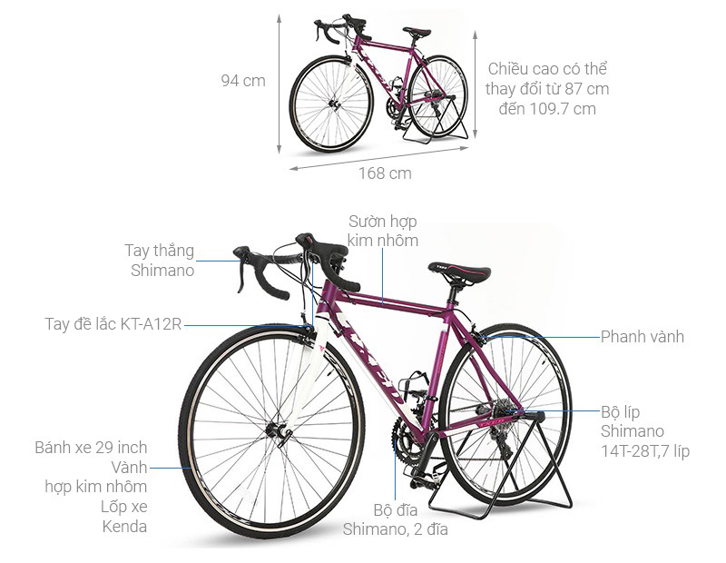 Xe Đạp Thể Thao Road Txed Speed Horse S7 29 inch Size L