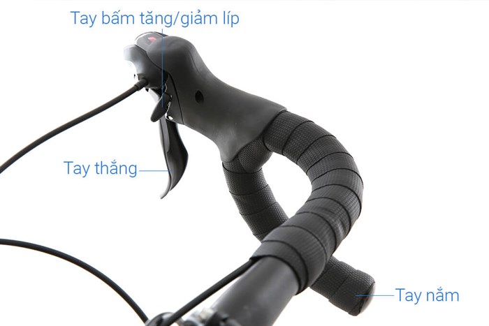 Xe Đạp Thể Thao Road Txed Speed Horse S7 29 inch Size L Màu Tím