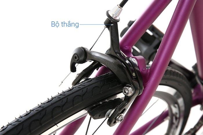 Xe Đạp Thể Thao Road Txed Speed Horse S7 29 inch Size L Màu Tím