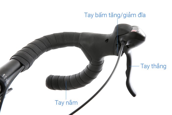 Xe Đạp Thể Thao Road Txed Speed Horse S7 29 inch Size L Màu Tím