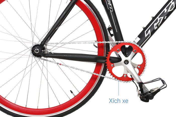 Xe Đạp Thể Thao Road Txed X Track 29 inch Size XL Màu Đen