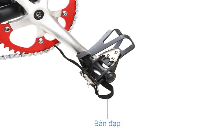 Xe Đạp Thể Thao Road Txed X Track 29 inch Size XL Màu Đen