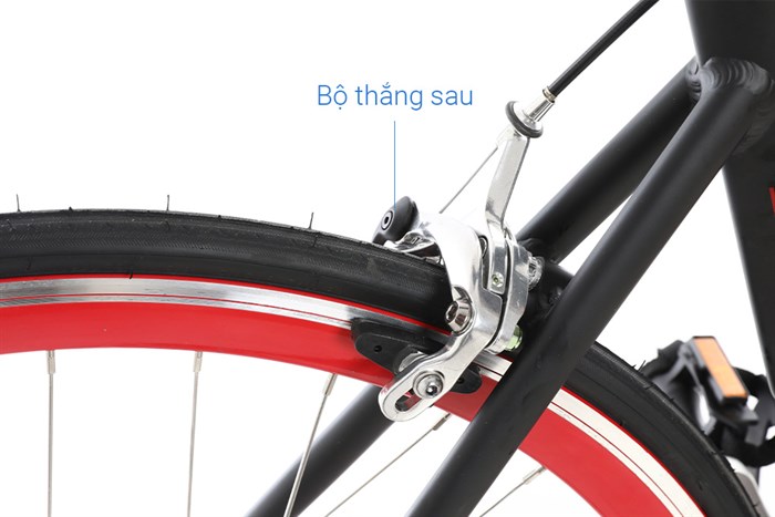 Xe Đạp Thể Thao Road Txed X Track 29 inch Size XL Màu Đen