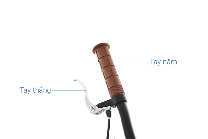 Xe Đạp Thể Thao Road Txed X Track 29 inch Size XL Màu Đen