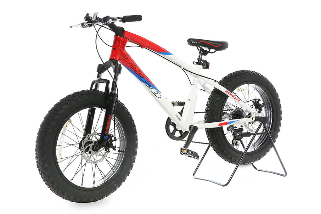 Xe Đạp Địa Hình MTB Txed Brave Boy 20 20 inch Size XXS