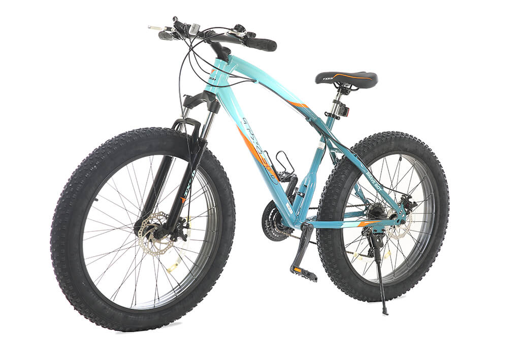 Xe Đạp Địa Hình MTB Txed Brave Boy 26 26 inch Size S