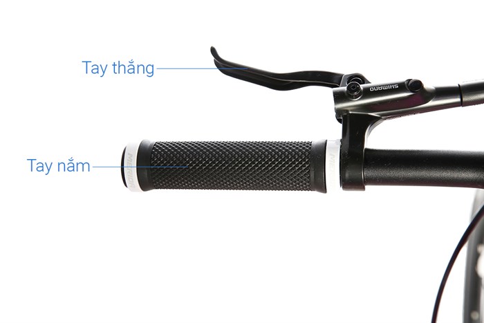 Xe Đạp Đường Phố Touring Merida Explorer 600 29 inch Size XS Màu Hồng