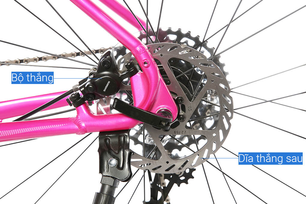 Xe Đạp Đường Phố Touring Merida Explorer 600 29 inch Size XS Màu Hồng