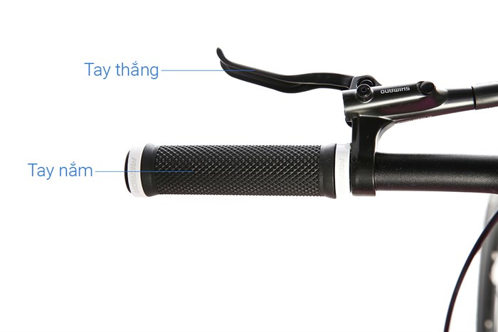 Xe Đạp Đường Phố Touring Merida Explorer 600 29 inch Size M Màu Hồng