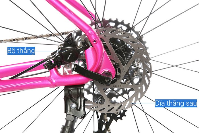 Xe Đạp Đường Phố Touring Merida Explorer 600 29 inch Size M Màu Hồng