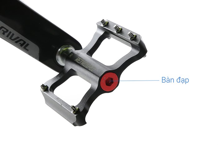 Xe Đạp Thể Thao Road Twitter Cyclone Pro Disc Main 29 inch Size M Màu Vàng