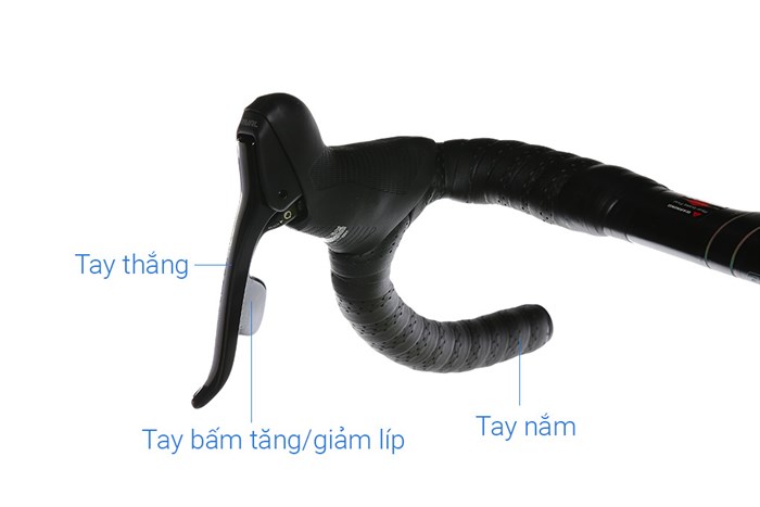 Xe Đạp Thể Thao Road Twitter Cyclone Pro Disc Main 29 inch Size M Màu Vàng