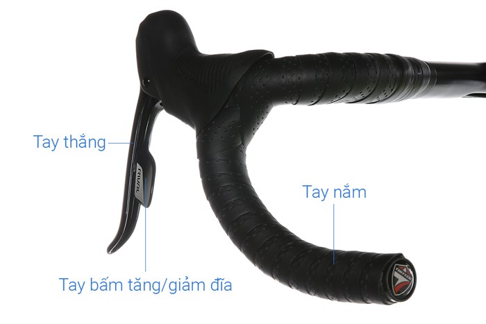 Xe Đạp Thể Thao Road Twitter Cyclone Pro Disc Main 29 inch Size M Màu Vàng