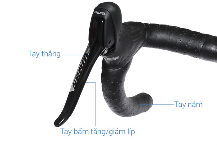 Xe Đạp Thể Thao Road Twitter Cyclone Pro Disc Main 29 inch Size M Màu Đen - Đỏ