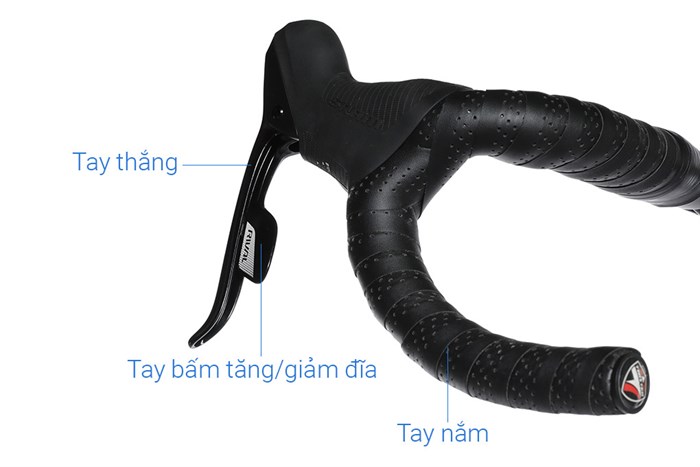 Xe Đạp Thể Thao Road Twitter Cyclone Pro Disc Main 29 inch Size M Màu Đen - Đỏ