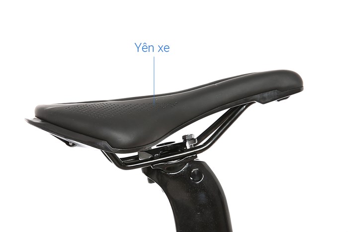 Xe Đạp Thể Thao Road Twitter Gravel V2 29 inch Size M