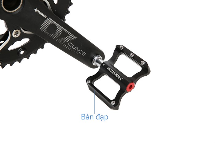 Xe Đạp Thể Thao Road Twitter Gravel V2 29 inch Size M