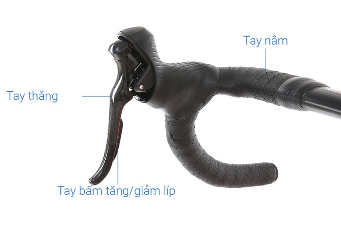 Xe Đạp Thể Thao Road Twitter Gravel V2 29 inch Size M