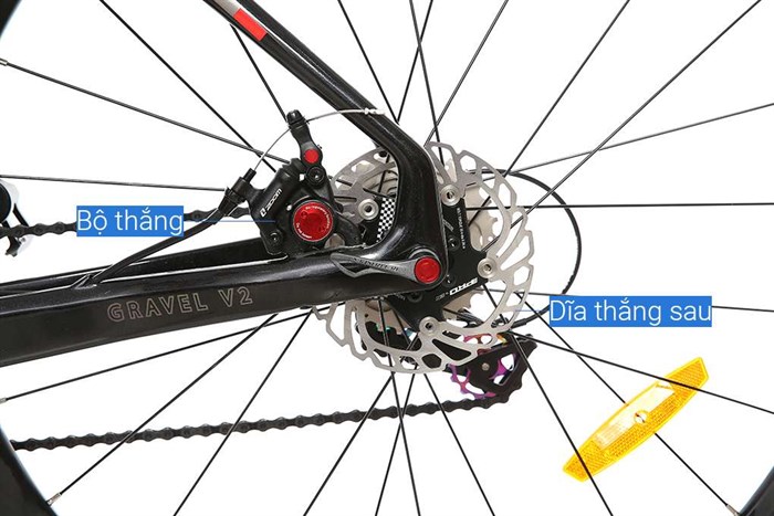 Xe Đạp Thể Thao Road Twitter Gravel V2 29 inch Size M