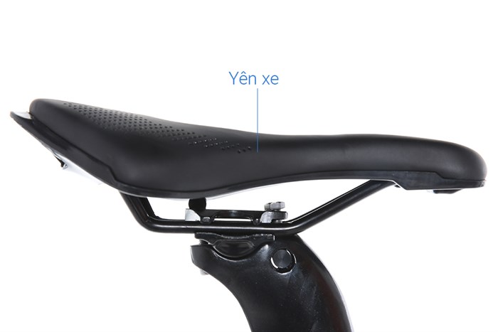 Xe Đạp Thể Thao Road Twitter Gravel V2 29 inch Size M