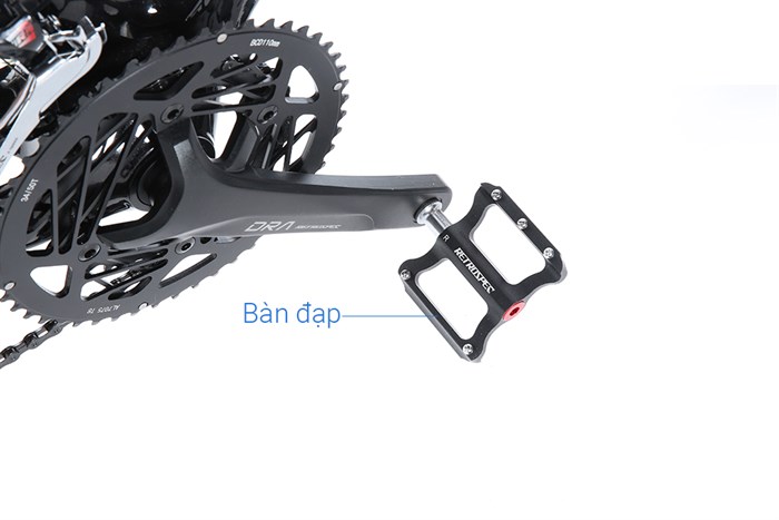 Xe Đạp Thể Thao Road Twitter Gravel V2 29 inch Size M