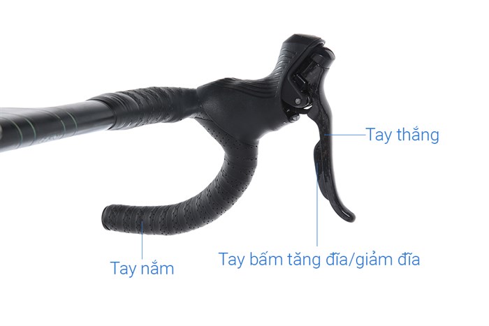 Xe Đạp Thể Thao Road Twitter Gravel V2 29 inch Size M